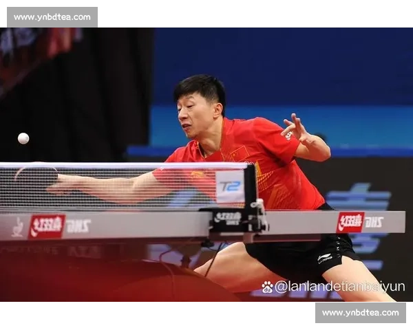 马龙迎战李哲国激战连连 展现世界级乒乓对决精彩瞬间
